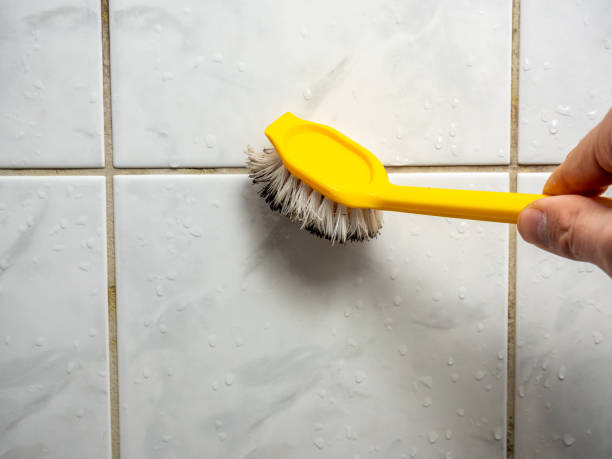 Best Same-Day Mold Removal  in Sacaton, AZ