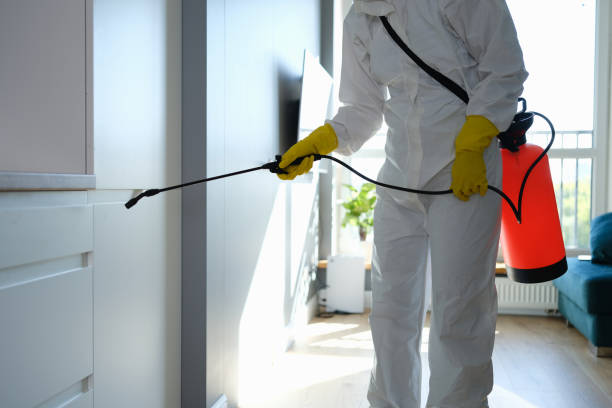 Best Residential Mold Removal  in Sacaton, AZ