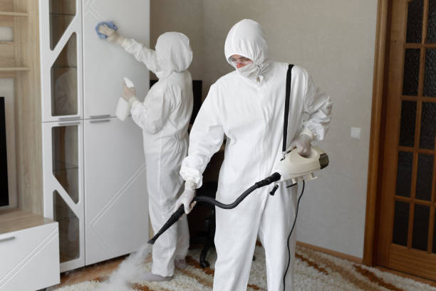 Best Mold Removal Process  in Sacaton, AZ
