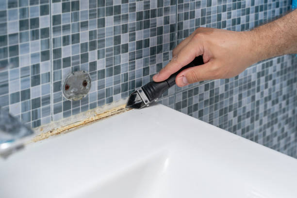 Best Local Mold Removal Service  in Sacaton, AZ