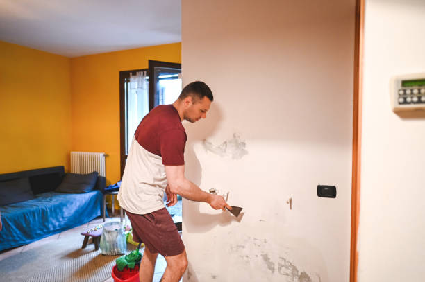 Best Office Mold Removal Services  in Sacaton, AZ