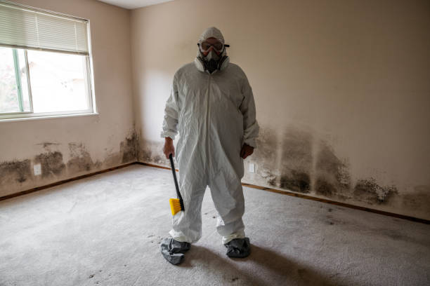 Best Mold Damage Repair  in Sacaton, AZ